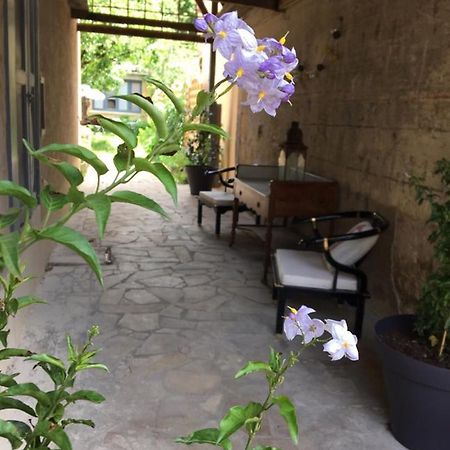 سارلا لا كانيدا Un Jardin En Ville المظهر الخارجي الصورة
